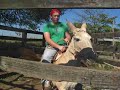 MULA COSMORAMA - XUCRA!!