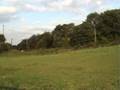 videos de Two SNCB class 55 pulling a freight train uphill