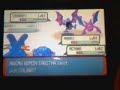 pokemon-emerald-brendan-and-steven-vs-team-magma.html