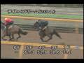 videos de [調教] 081008 デイトユアドリーム 「プラタナス賞」前追い切り