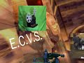 ECVS Advert