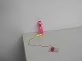 Lily-yarn