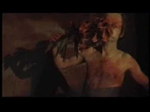 Youtube Video 9RXfPZFGD54