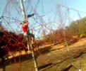 acrobazie demenziali