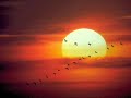 Something About What Happens When We Talk (Lucinda Williams)