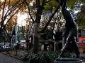 仙台・秋の定禅寺通り(2008年11月23日撮影)