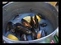 MEJILLONES EN SALSA BALASCH (propia) MEJILLONES EN SALSA BALASCH (propia)