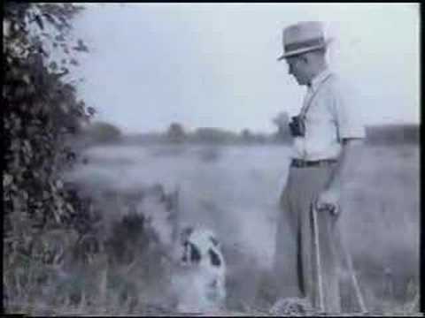 Aldo Leopold Nature Center - ...