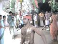 Nellitheertha Jaatre Bali Nellitheertha Jaatre Bali