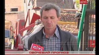 Я снимаю сюжет на Телеканале 