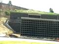 Mass Graves 4 months later Concrete vaults caskets LA