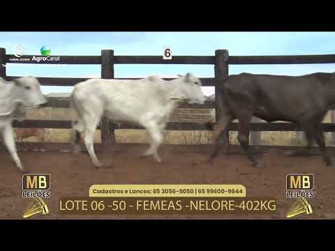 515� LEIL�O VIRTUAL MB LEIL�ES