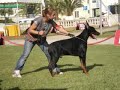 56 Exposi��o Internacional do Estoril