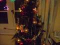 A Video Of My Christmas Decorations In My House.