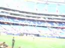 SKYDOME