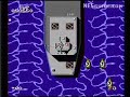 www.nesguide.com
