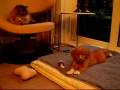 PA180001.MOV