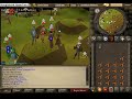 Pking Dm