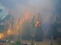 Deva & Punagra (live) - Faun Deva & Punagra (live) - Faun