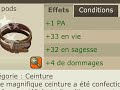 Agecanonix Dofus enu lvl 12X sur pouchecot