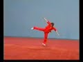 Wushu Degree B Wushu Degree B