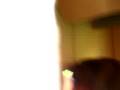 videos de 39.den