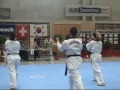 Twist Taekwondo/Poomse Schweizermeisterschaft