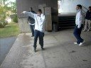 tecktoniik calix 1