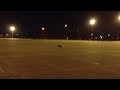 Traxxas Xo-1 100mph Flip Fly Crash (no High Downforce Splitter)