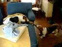 MOV00547.AVI MOV00547.AVI