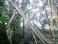 TRILHA + CHUVA = DIVERSÃO GARANTIDA!!!