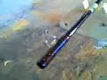 Varnishing the rod the true test of character Varnishing the rod the true test of character