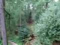 DSCF1717.AVI