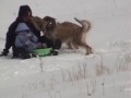 Sledding Today