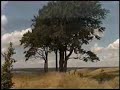 ufo forming crop circle best video