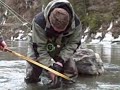 Nice Steelhead caught on 18 Mile Creek