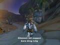 World of Warcraft - Zeppen