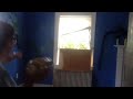 Click here to watch this video Madi doesn't like windows... Or juice.