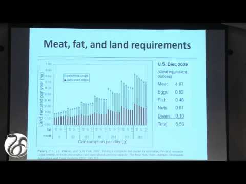 Land Use Effects of Various Dietary Patterns