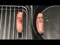 Talking sausages Talking sausages