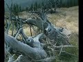 Nature in Poland