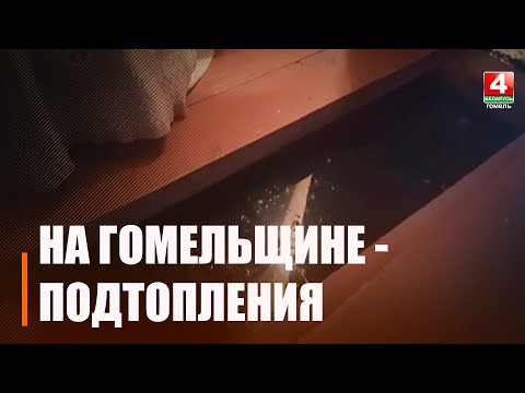 Из-за талой воды пострадали населенные пункты шести районов Гомельщины видео