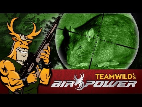 Airgun - In this weeks Air Power, Team Wild's Valiant Varminators Steve Wild & Keith Anderson head out into the darkness once again to battle their nemesis - Rats and...