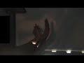 funny shadow animals