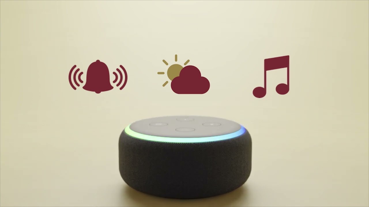 MEDDI ECHO DOT