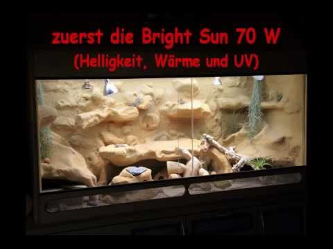 Terrarienbeleuchtung