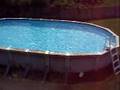 Jerel getting thrown in his pool (funny)