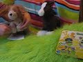 Webkinz Sing Al Stewart\ Webkinz Sing Al Stewart\