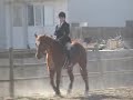 Kojack Flat Classes