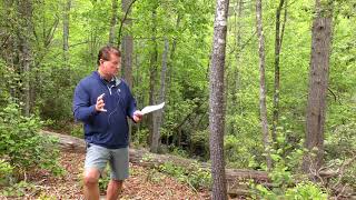 Lake Keowee Real Estate Video Update May 2020 Mike Matt Roach